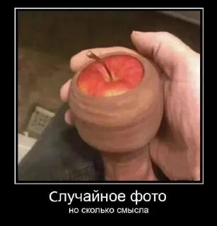 🌟 emoji Рома пусибой by lsd4k Telegram sticker 14 of 75