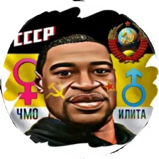 🌟 emoji Рома пусибой by lsd4k Telegram sticker 20 of 75