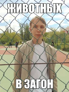 🌟 emoji Рома пусибой by lsd4k Telegram sticker 13 of 75