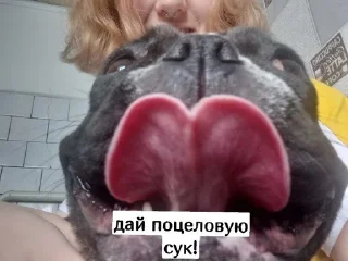 😚 emoji ахуеьь мира жив Telegram sticker 2 of 56