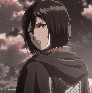 Sticker from Mikasa🥀