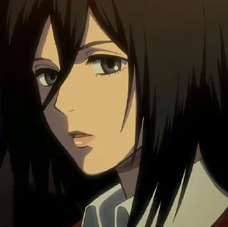 Sticker from Mikasa🥀