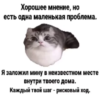 Sticker from ЧЕФИРЧИК :: @QStickBot