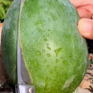 🙈 emoji bf beomgyu @strawff Telegram sticker 17 of 30