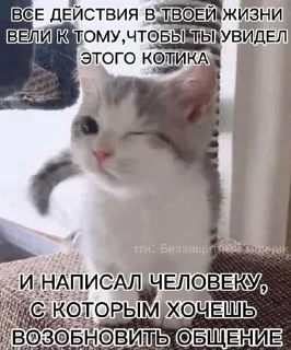 🧲 emoji ДедИнсайдСтикерВащеКпц@Popandopulus2008 Telegram sticker 19 of 64