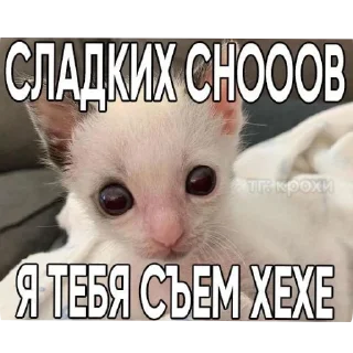 Sticker from Жизненные котики