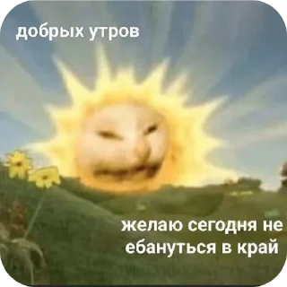 Sticker from Жизненные котики