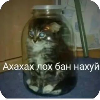 👍 emoji БОЛЬШЕ ⇨ @CLOOBHUB МЕМЫ MEMES ТГ TG Telegram sticker 10 of 120