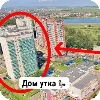 🦆 emoji БОЛЬШЕ ⇨ @CLOOBHUB МЕМЫ MEMES ТГ TG Telegram sticker 9 of 120