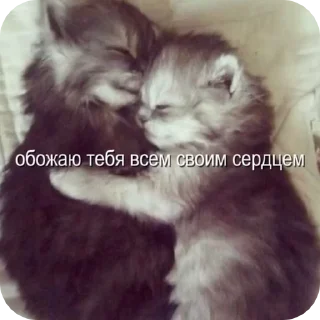 😍 emoji милые вп видео Telegram sticker 10 of 10