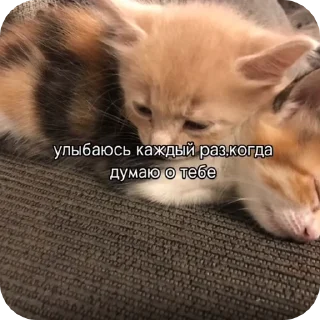 🥰 emoji милые вп видео Telegram sticker 8 of 10