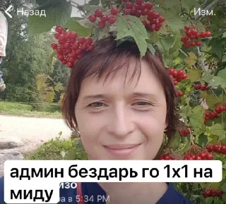 🇺🇦 emoji твис заебала Telegram sticker 14 of 70
