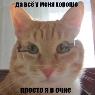 Sticker from заебала эта ебатория