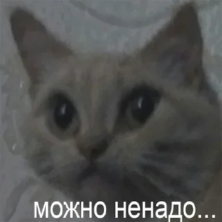 Sticker from заебала блять