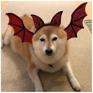 😈 emoji Собачки @dogsaredogs Telegram sticker 23 of 31