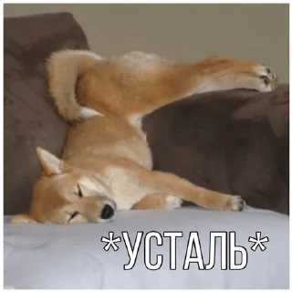 😫 emoji Собачки @dogsaredogs Telegram sticker 8 of 31