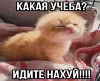 Sticker from Ч