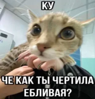 Sticker from Ч