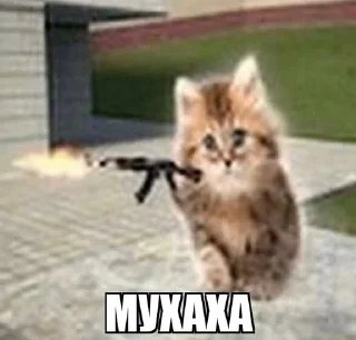 Sticker from коты мухаха
