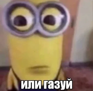 Sticker from коты мухаха