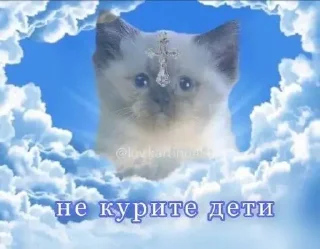 😓 emoji на все случаи Telegram sticker 8 of 40