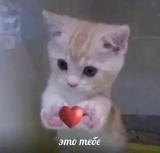 🥴 emoji на все случаи Telegram sticker 19 of 40