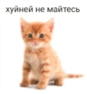 Sticker from суета