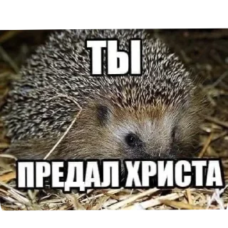 🖼 emoji @STICKRULE <- БОЛЬШЕ Telegram sticker 9 of 118