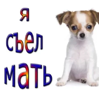 Sticker from @STICKRULE <- БОЛЬШЕ