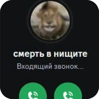 Sticker from @STICKRULE <- БОЛЬШЕ