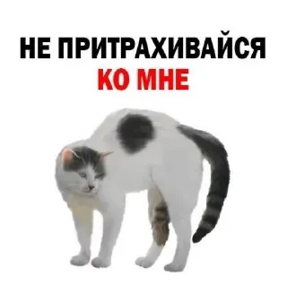 Sticker from переговорна
