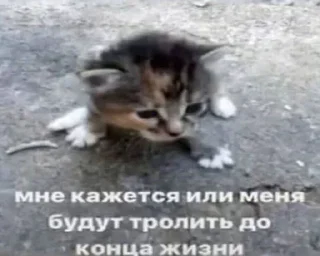 Sticker from та хуй знает