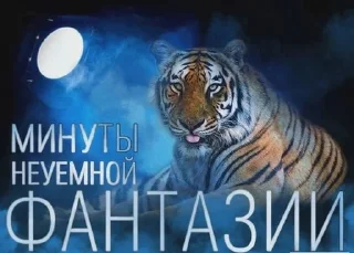 Sticker from время ведать @nontiscordardimee