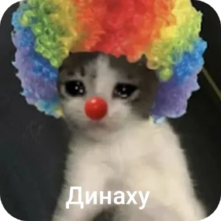 Sticker from Котэ