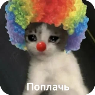 Sticker from Котэ