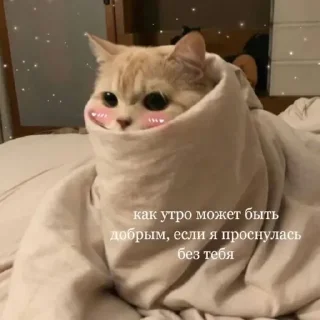 Sticker from котэ