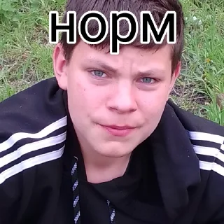 Sticker from Котэ