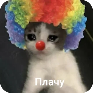 Sticker from Котэ