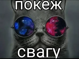 Sticker from Боже храни свагу