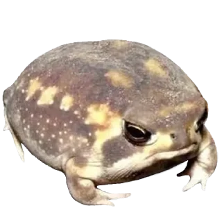 👶 emoji @korolpupsikov Стикеры не мои, но мои любимые Telegram sticker 24 of 60