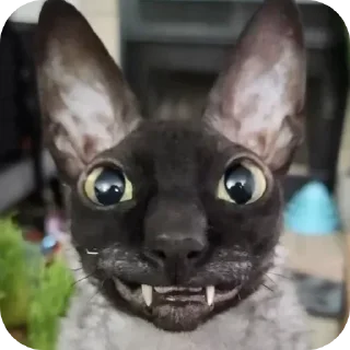 🌟 emoji @korolpupsikov Стикеры не мои, но мои любимые Telegram sticker 6 of 60