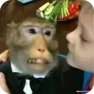 🐵 emoji @korolpupsikov Стикеры не мои, но мои любимые Telegram sticker 8 of 60