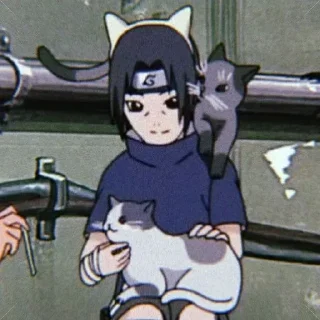 🐱 emoji @korolpupsikov Стикеры не мои, но мои любимые Telegram sticker 16 of 60