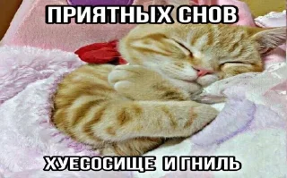 🌟 emoji котики бутербродики Telegram sticker 15 of 113
