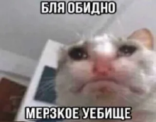 🌟 emoji котики бутербродики Telegram sticker 6 of 113