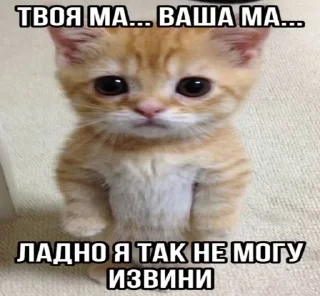 🌟 emoji котики бутербродики Telegram sticker 22 of 113