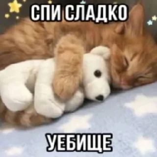 🌟 emoji котики бутербродики Telegram sticker 17 of 113
