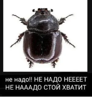 Sticker from сеанс молчания by splentaytite