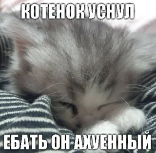 😍 emoji для няшек Telegram sticker 10 of 24