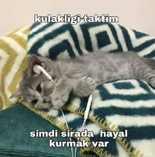 🕸 emoji @kchrllkr @DTOUserBot Paketi 1 Telegram sticker 11 of 97